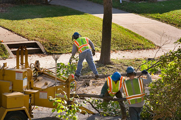 Best Lawn Irrigation Installation and Maintenance  in St Maries, ID